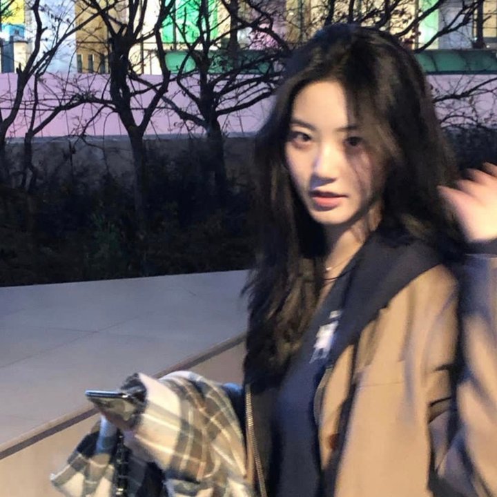 马克辛的归来