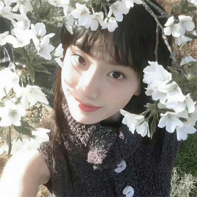 春光满古城